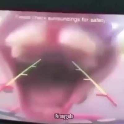 best investment of my life