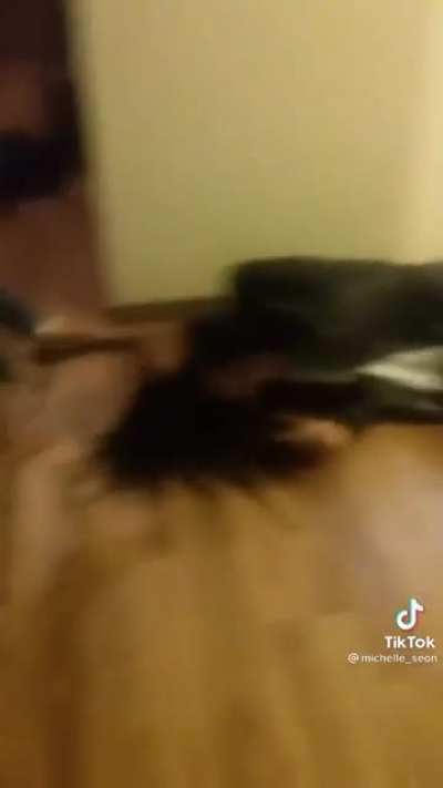 How bruce finna get did at the meetup after scamming