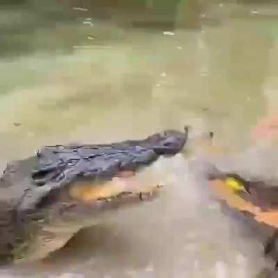 Гена съебись я занят!