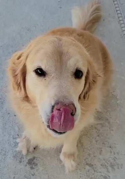 Give me yummy treat, please!