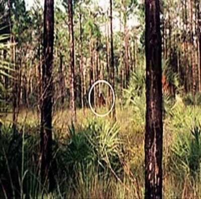 STOP FOLLOWING ME STOP FOLLOWING ME STOP FOLLOWING ME