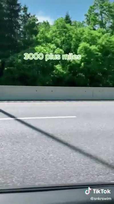 By user @snkrswim on TikTok