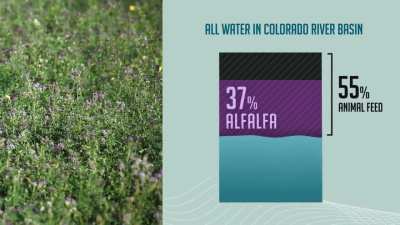 CSIS Water Security and Global Food Program: Agriculture and the Colorado River Crisis