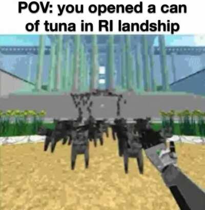 The last thing Dok saw before dying of diabetes