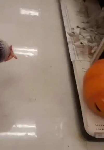 Those are dead puppies