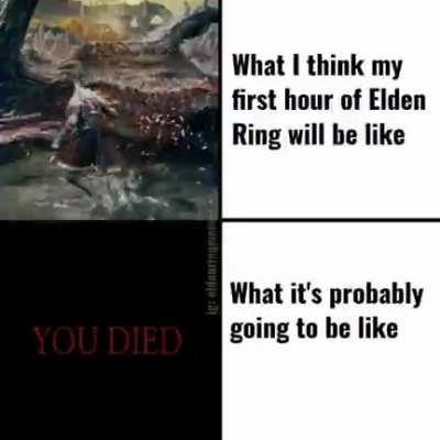 Me: I'm ready, I'm ready. Miyazaki: No you ain't.