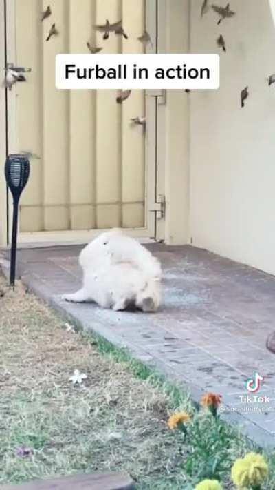 So close, yet so far..