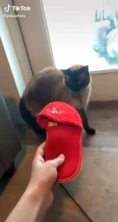 It's Just A Slipper...