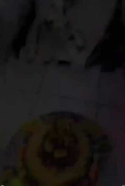 A paralyzed dog…and an owner who taught him to walk again with unconditional love!❤️