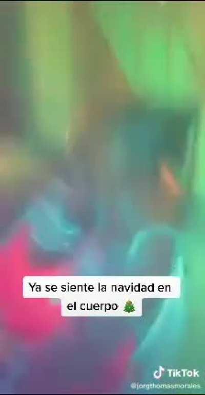 Ustedes ya armaron su pino?