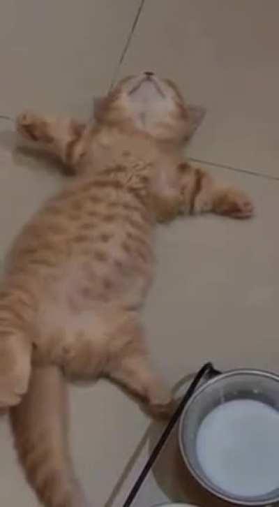 cAt gEtS fuCkinG poIsonEd