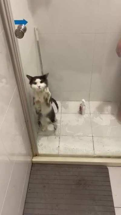His effort was in vain to claw the way out of bath time