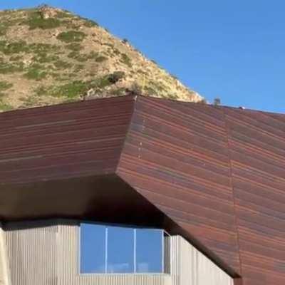 HMFT after I ride off a perfectly good building.