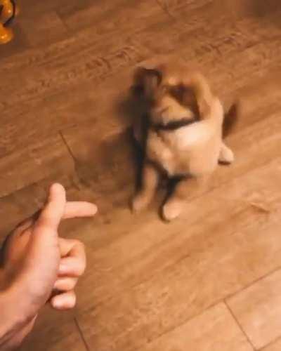 Best actor award goes to