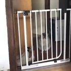 Oh god oh fuck he comin