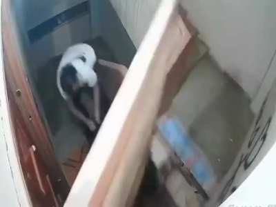 Thappad maarke bhaaga baccha :O