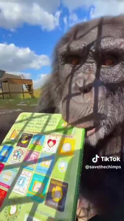 he loves his new book 💚