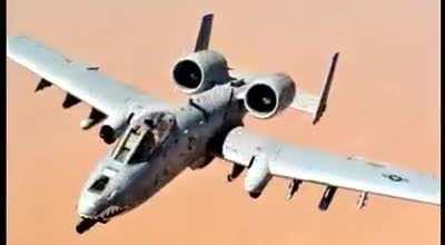 Good luck finding me warthog fans, im outside of binocular distance