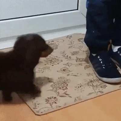 Don't forget to wipe your feet...