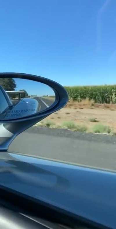 Look at all this fucking $CORN it only grows up