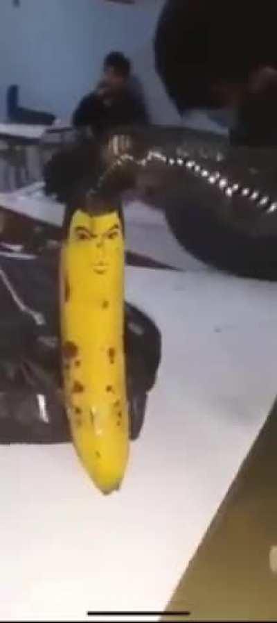 Banana Owada/Mondo Banana