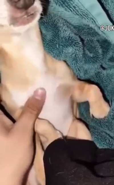 🚶🏿🚶🏿‍♂️🚶🏿‍♂️🚶🏿‍♂️