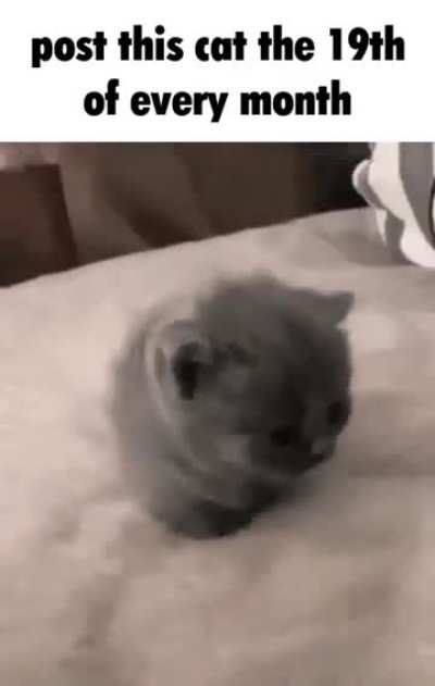 just 3 more weeks until I'm done with school :3