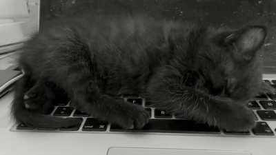 Warm spot. (Volume up!)