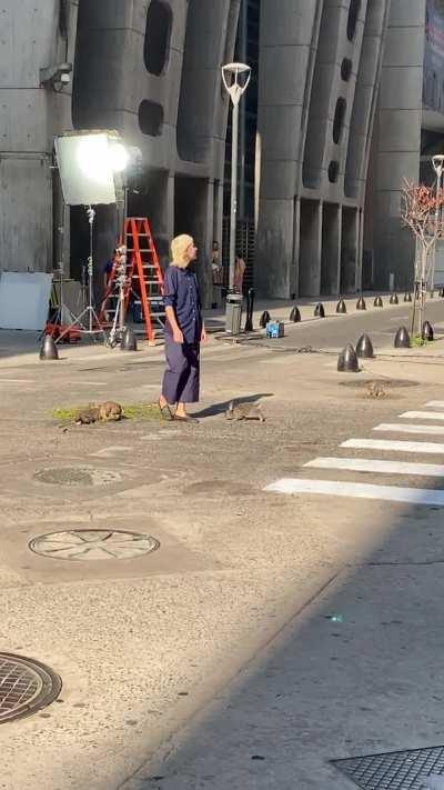 En enero vimos que filmaban una publi con conejitos en el microcentro. Alguien la vio?