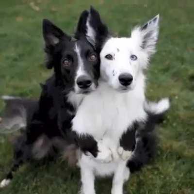 This guy did a photo shoot with his girlfriend just to show off on Instagram 💞😎