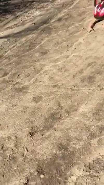 The death wobble ☠️