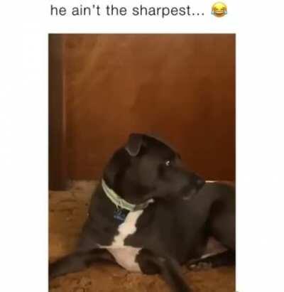 Who keeps doing that?