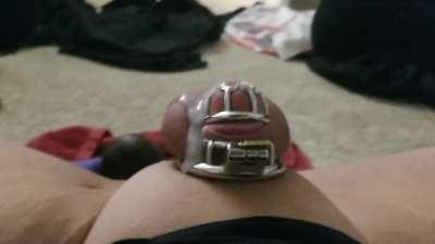 21 days in chastity, I think I'm getting the hang of this
