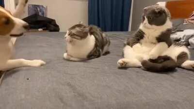 You gonna let him get away with that shit?