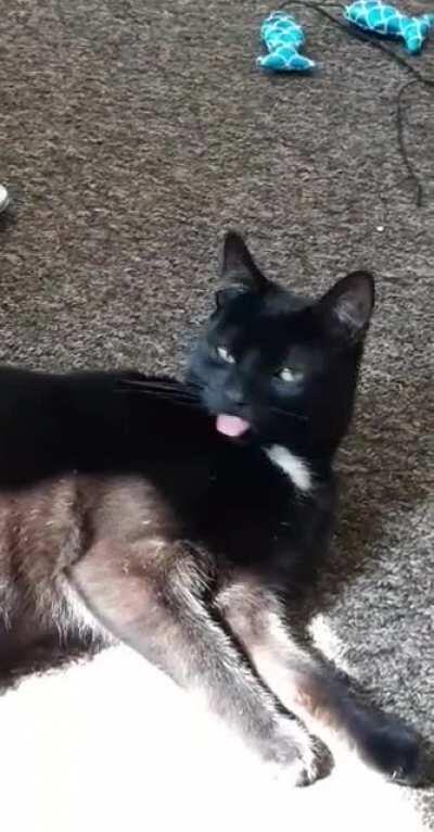 Mine doing a big blep