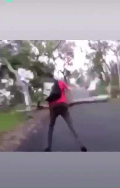 Olympic log throwing champion