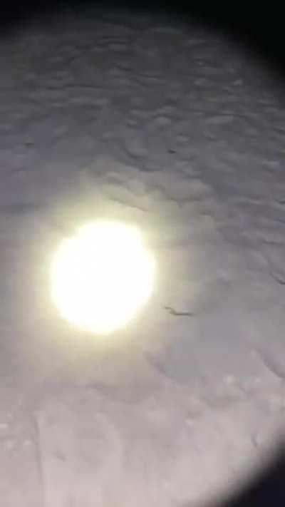 had a feeling jack would like this