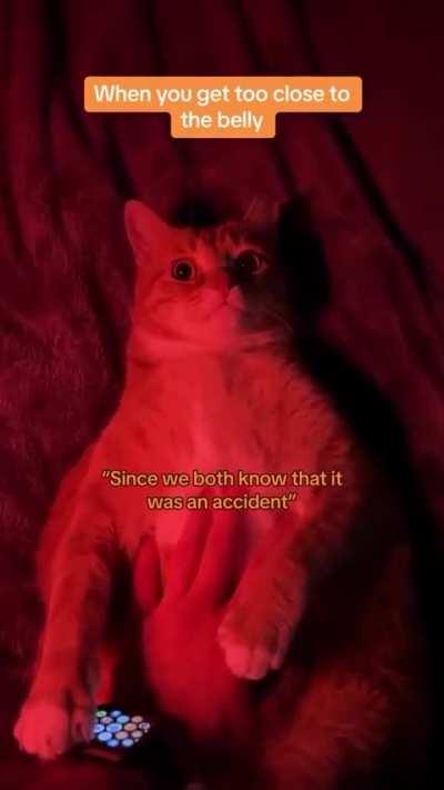 Never touch the belly! 