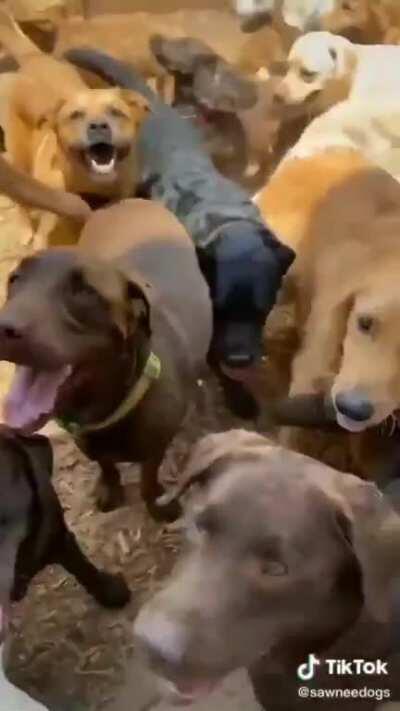 Holy shit that’s a warm welcome