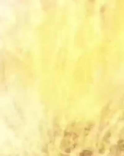 WTF THIS CANNOT BE REAL IM CRYING