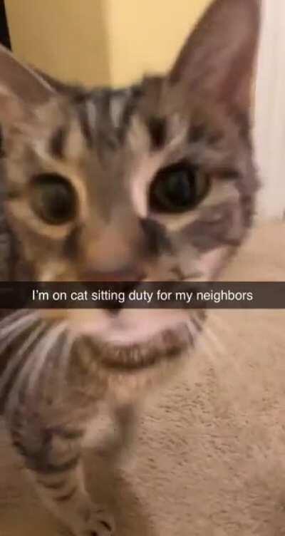 Errol the hungry legend