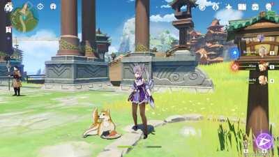 you can feed the doggo and he barks !