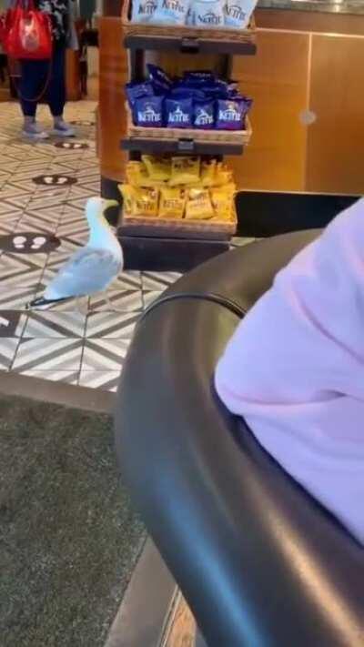 Drones model 2021 are here