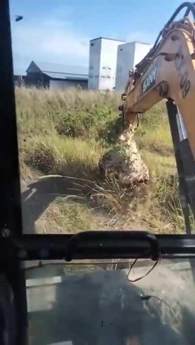 Guy Removes Hornet's Nest With A Backhoe To Disastrous Results