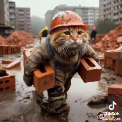 This is what will happen if Kamala Harris becomes president. Vote accordingly