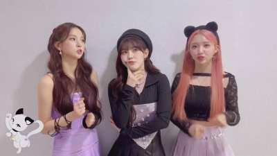 [230423] Yeseo, Yujin & Chaehyun Twitter update: SCRATCH CARD Kennyangi Lottery EVENT [LOVESTRUCK!]