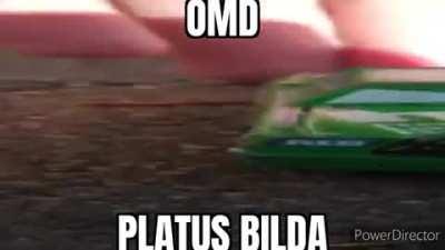 P L A T U S B I L D A