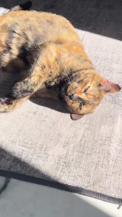 Well…..good morning raspy lady