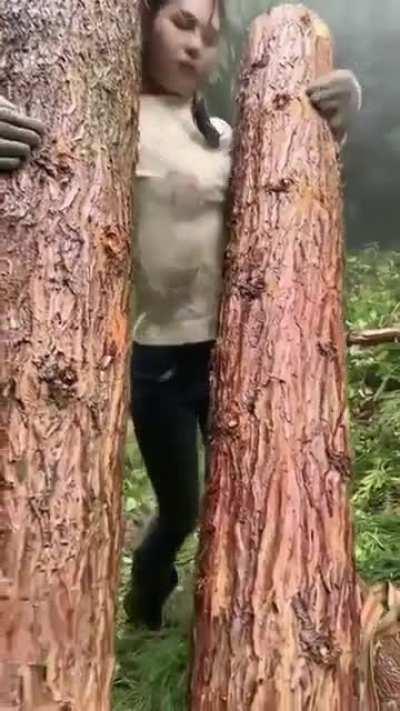 Efficiently Carrying logs