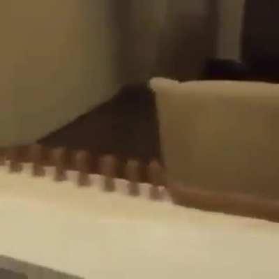 To make a chocolate domino row